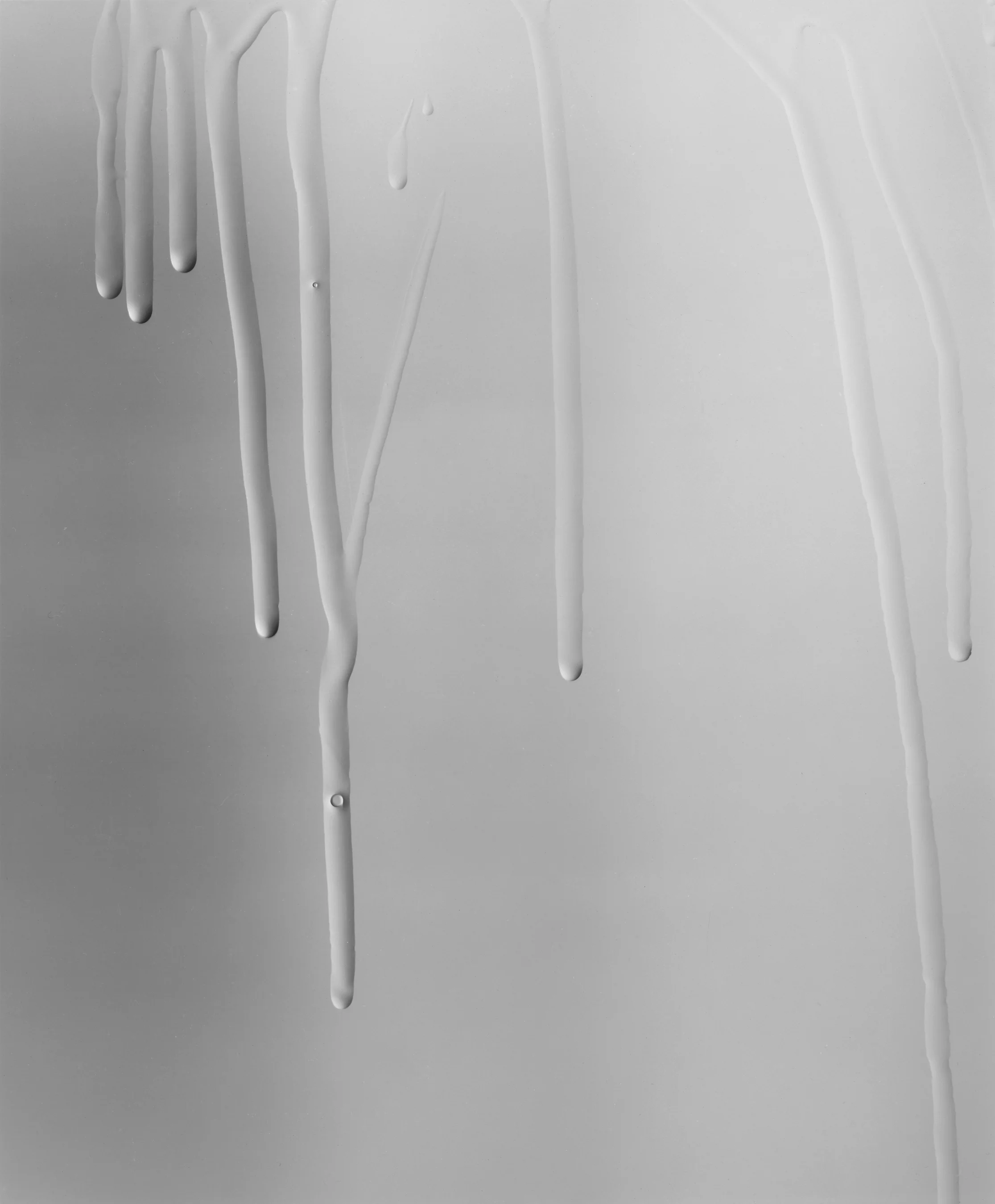 Wet Glass XVI, 1995, selenium toned silver print, 24 x 20 Inches