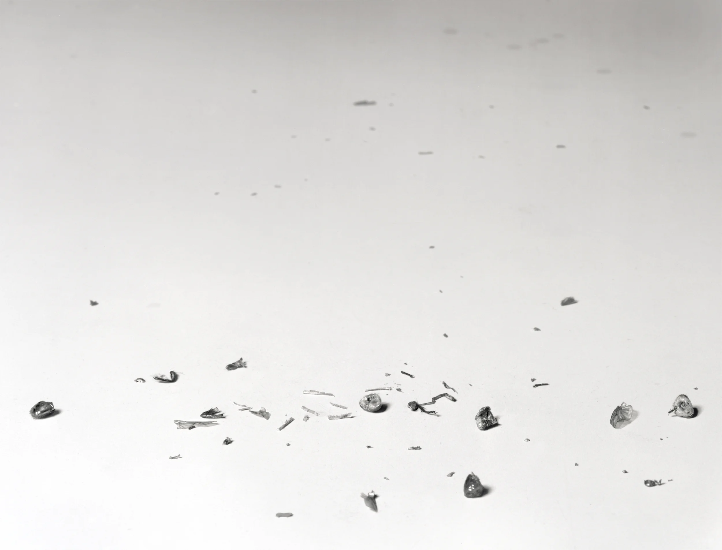 Fly Disaster III, 1997, Silver Print, 29-1/4 x 37 inches