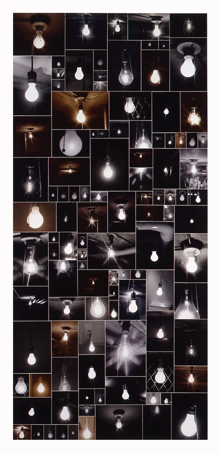 Encyclopedic Pictures (Bare Bulb), 2001, Photocollage (unique toned silver prints on panel), 99.5 x 51.5 Inches