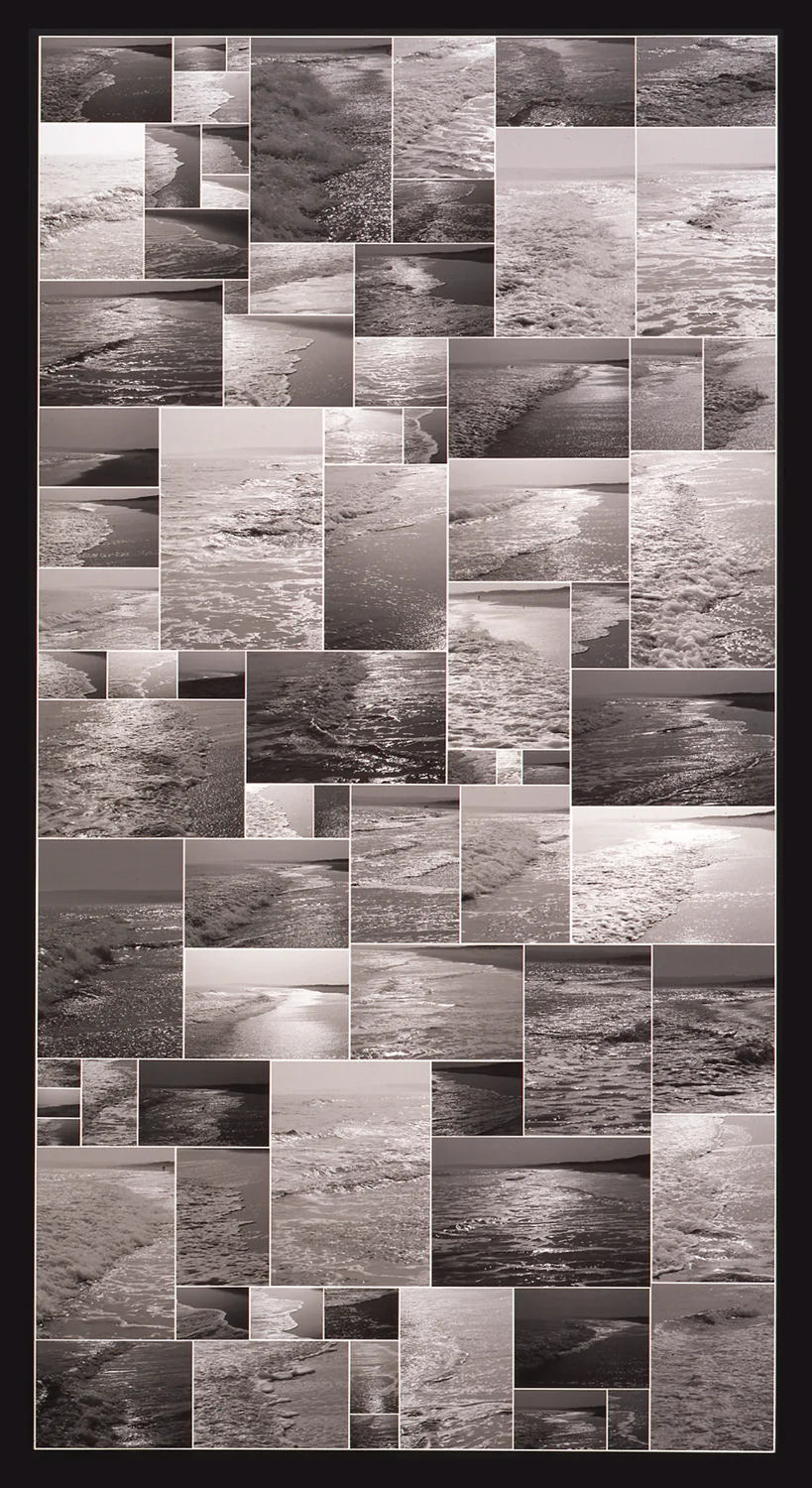 Encyclopedic Pictures (Beach), 2002, Photocollage (unique, archival ink jet prints on panel), 95.5 x 51.5 Inches