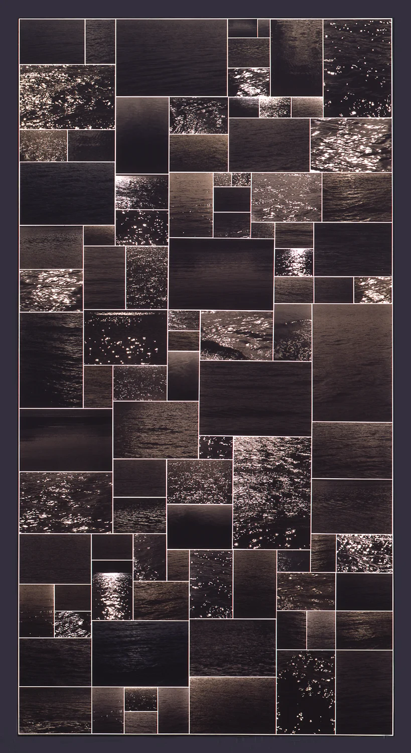 Encyclopedic Pictures (Dark Water), 2002, Photocollage (unique ink jet prints on panel), 95.5 x 51.5 Inches