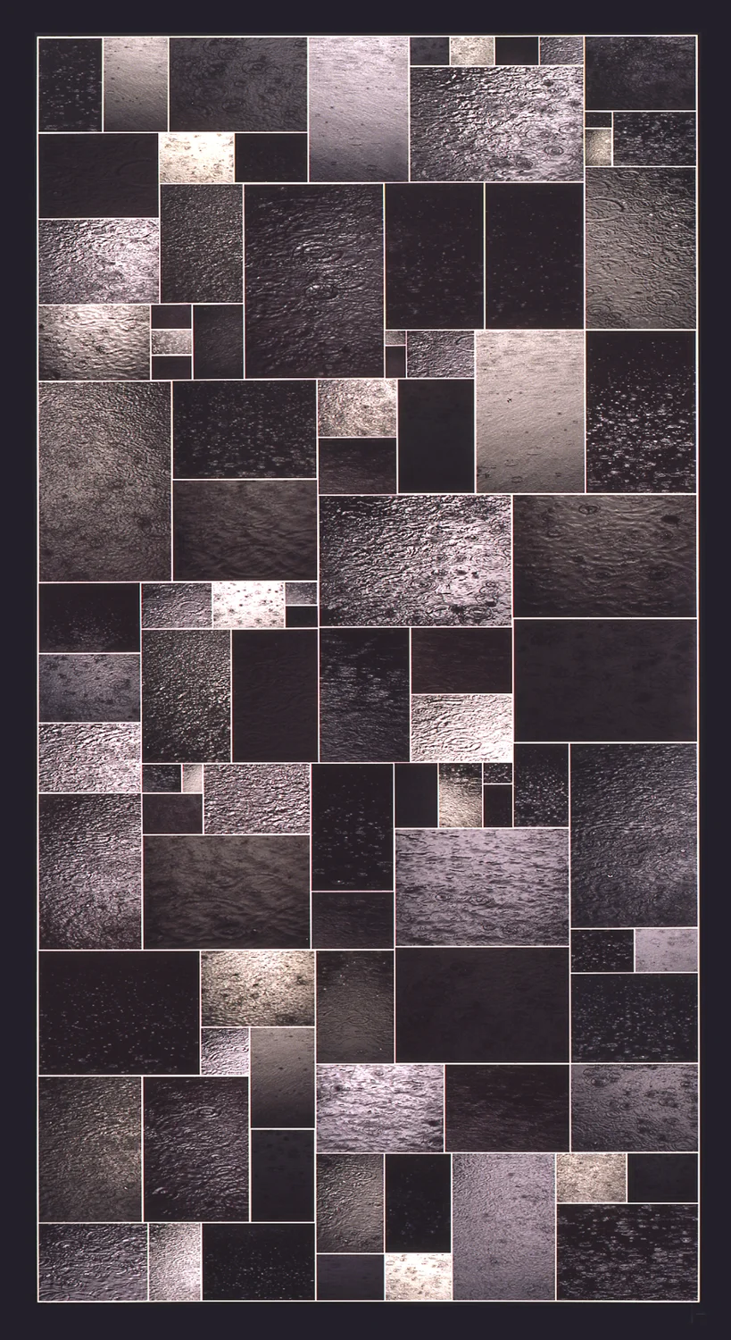 Encyclopedic Pictures (Rain on Water), 2002, Photocollage (unique, archival ink jet prints on panel), 95.5 x 51.5 Inches