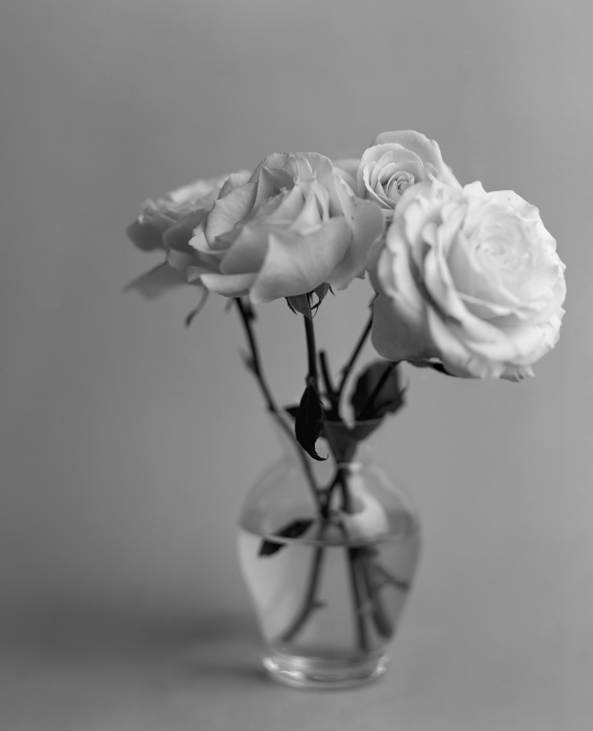 Roses (Four in a Vase), 1996/2006, Archival Ink Jet Print, 53 x 43 Inches