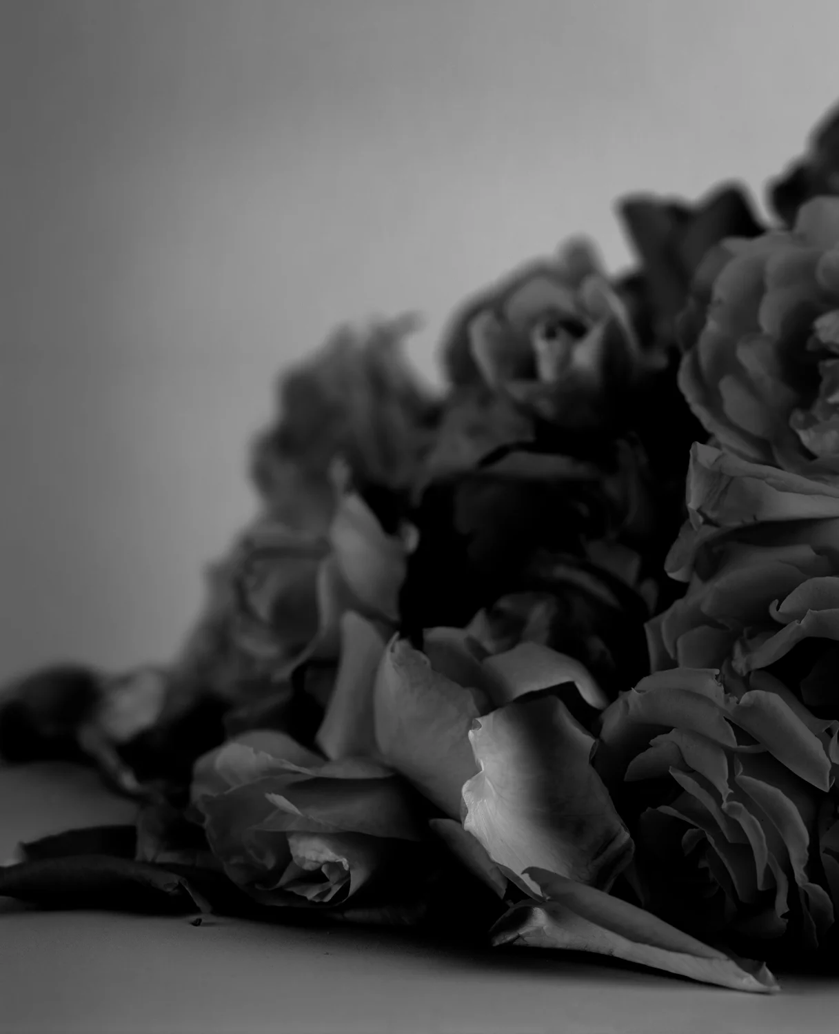 Roses (Dark Pile), 1996/2006, Archival Ink Jet Print, 53 x 43 Inches