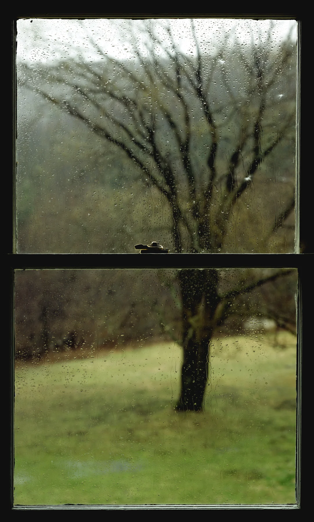 Rain Window V, 1989, C-Print, 65 x 40 Inches