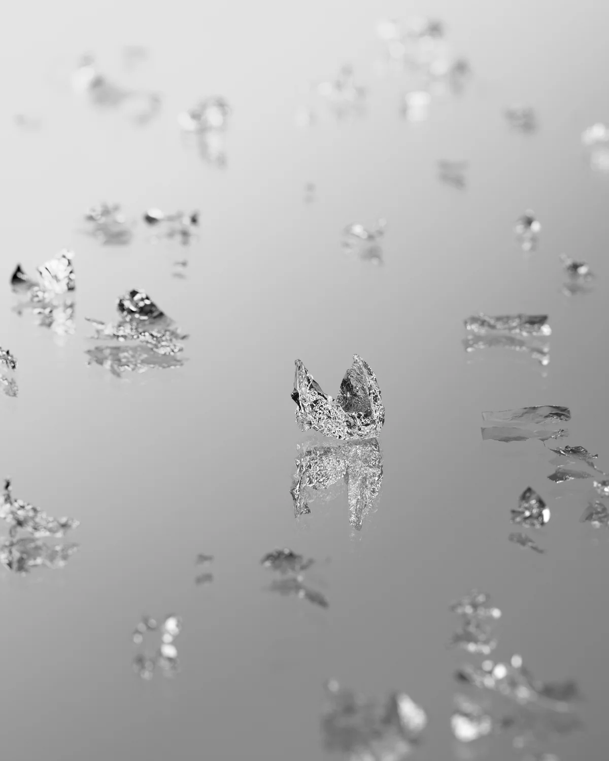 Silver on Mirror (Sander), 2010, Archival Inkjet Print, 50 x 40 inches