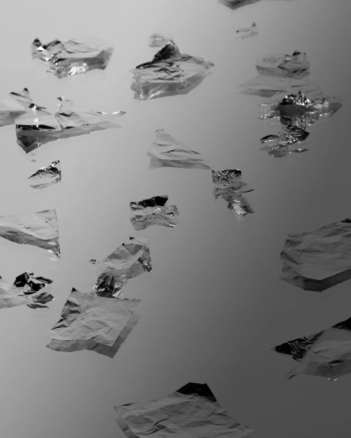 Silver on Mirror (Stieglitz), 2010, Archival Inkjet Print, 50 x 40 inches