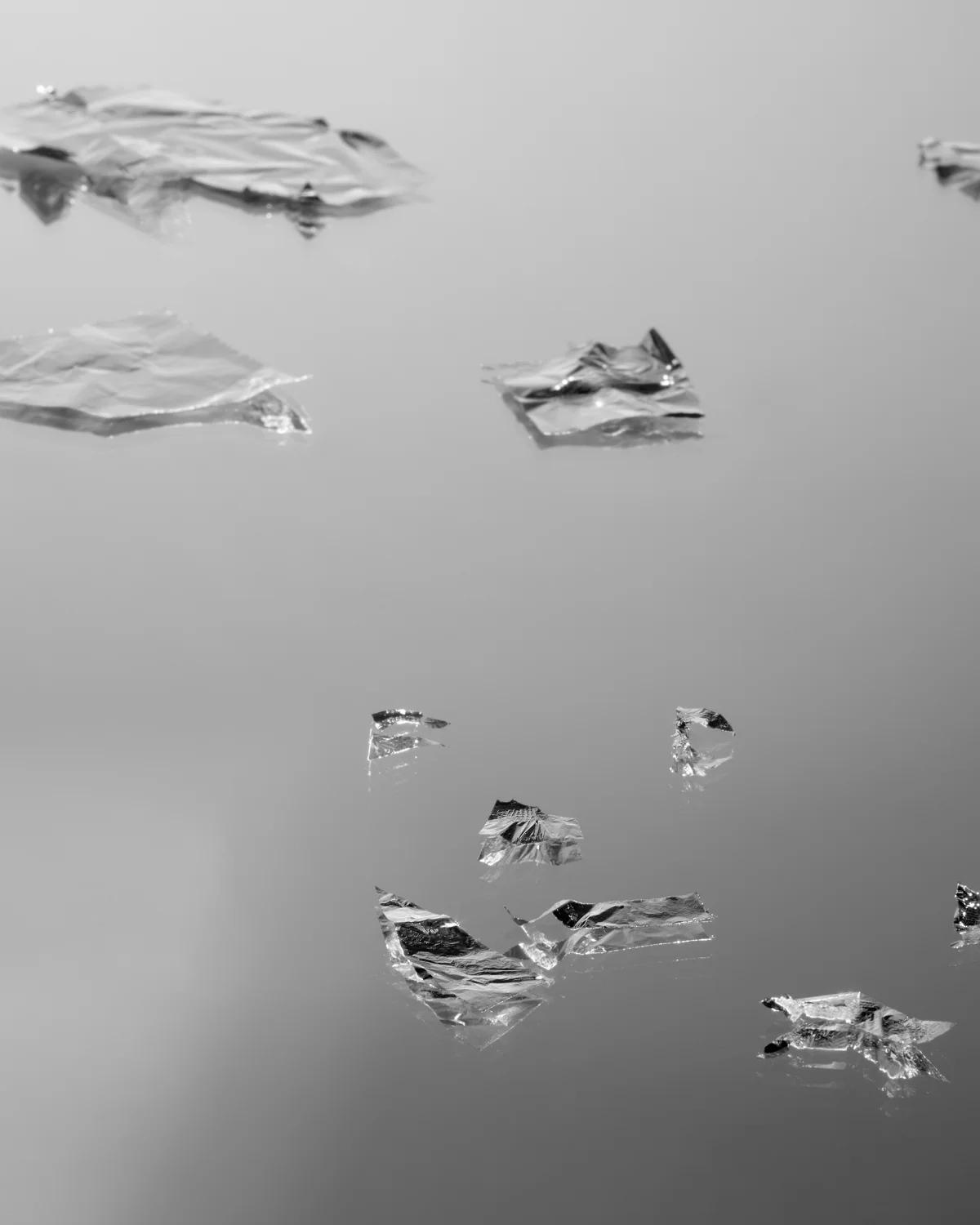 Silver on Mirror (Weston), 2010, Archival Inkjet Print, 50 x 40 inches