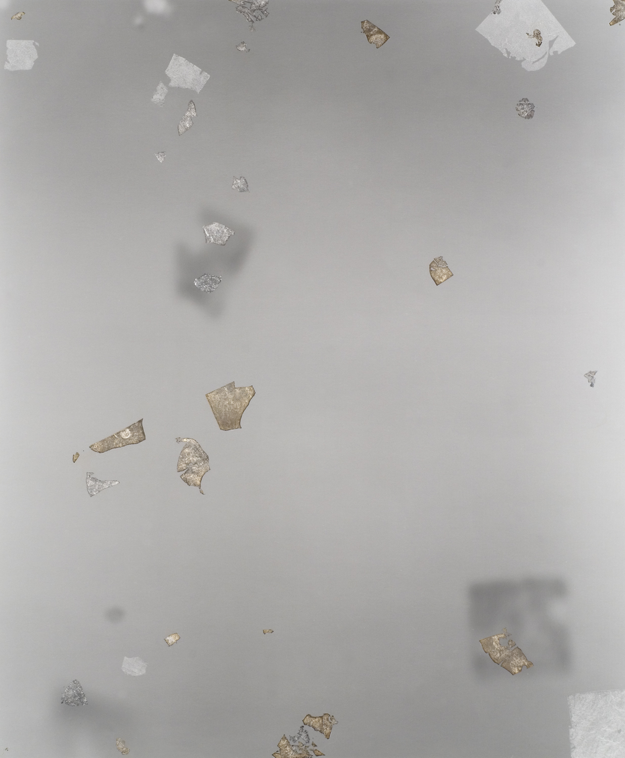 Silver Print (For Nadar), 2007, silver leaf & wax on silver print, 24 x 20 inches