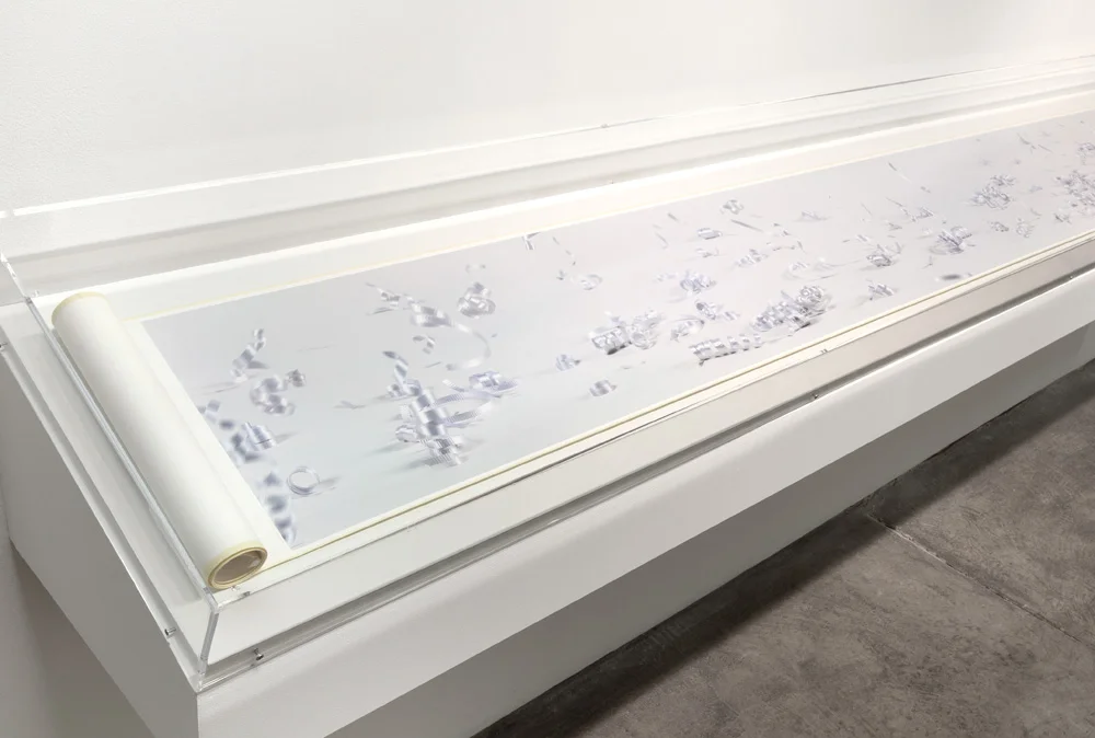 2013, Installation at Paula Cooper Gallery