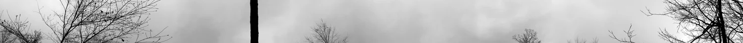 Grey Winter Day Scroll, 2012, Archival Inkjet Print, 11" x 190"