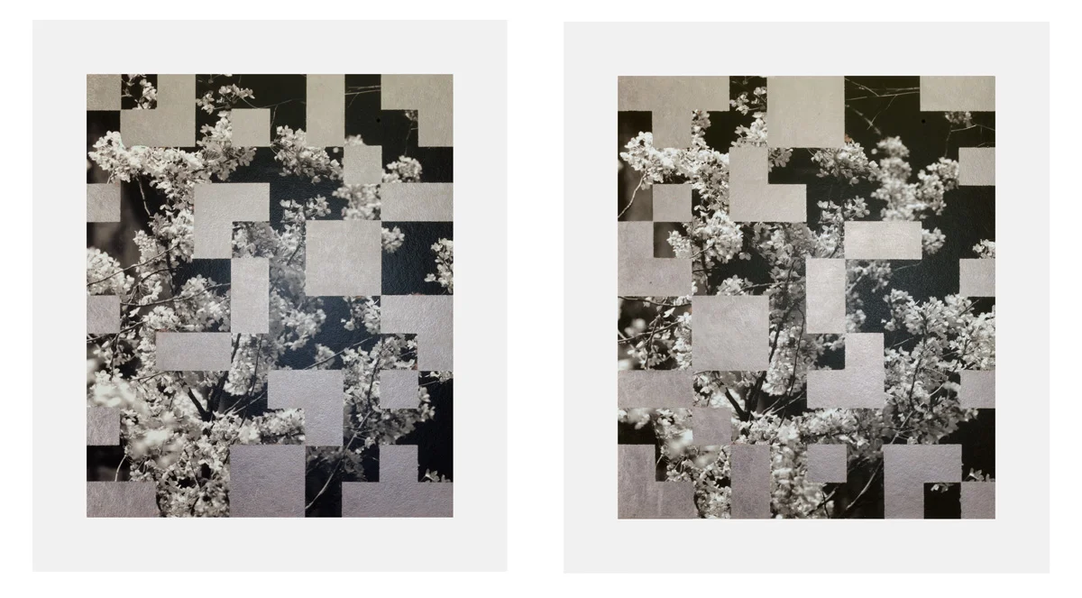 Cherry Tree Grid 002