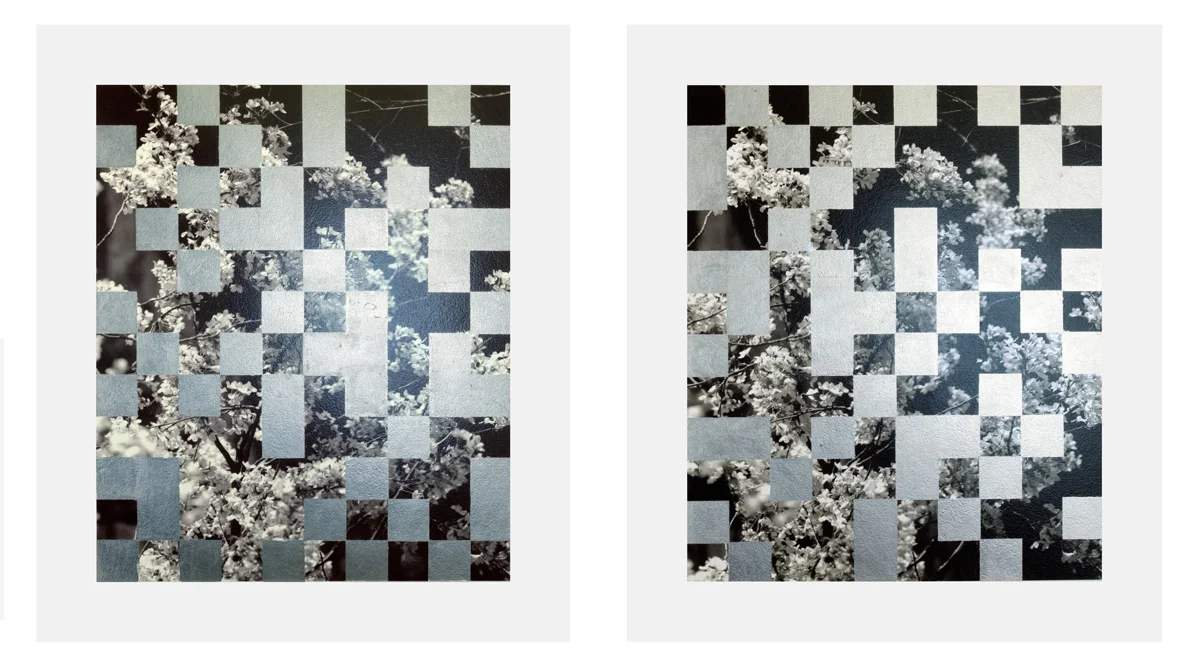 Cherry Tree Grid 004