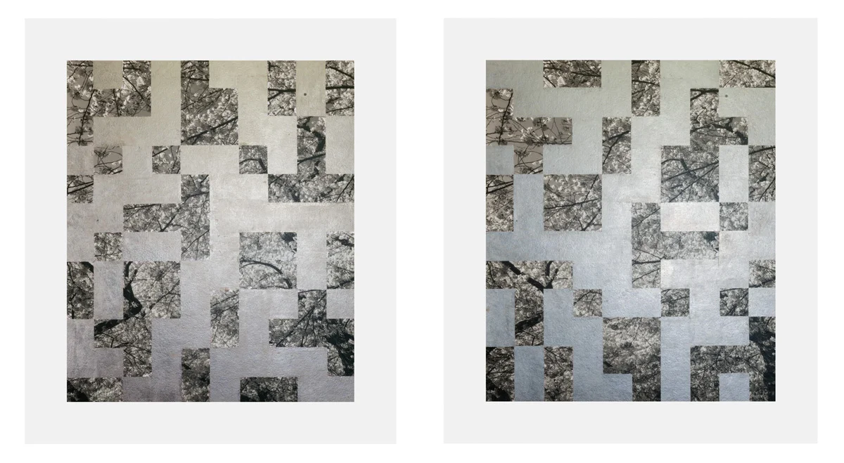 Cherry Tree Grid 005