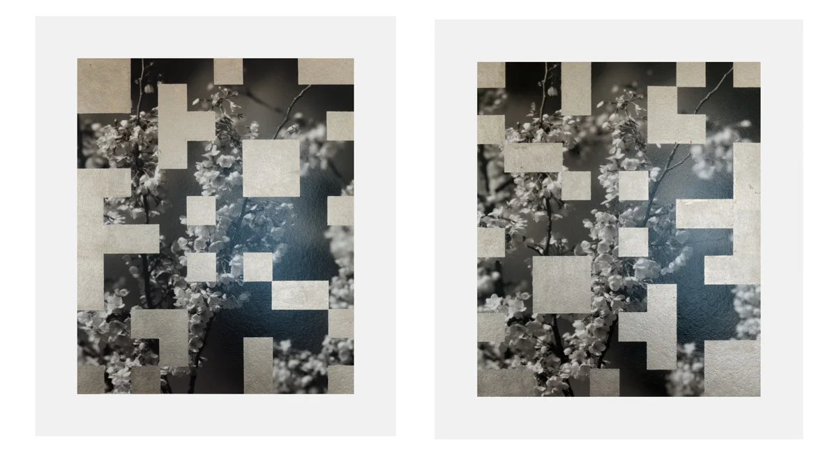 Cherry Tree Grid 006