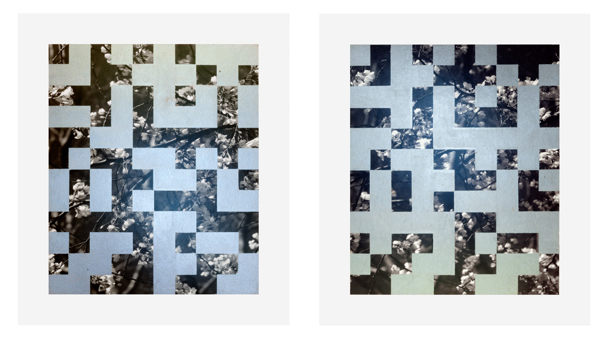 Cherry Tree Grid 007