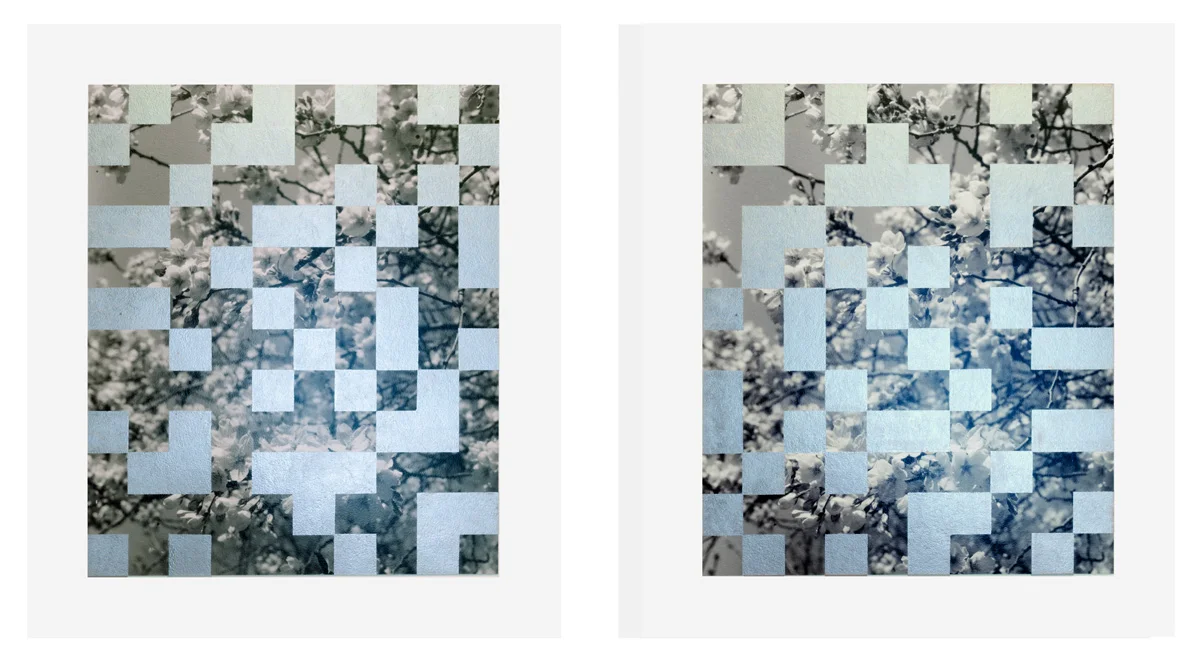 Cherry Tree Grid 008