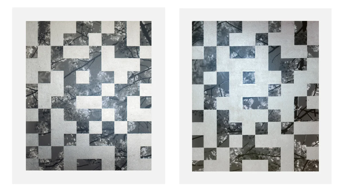 Cherry Tree Grid 009