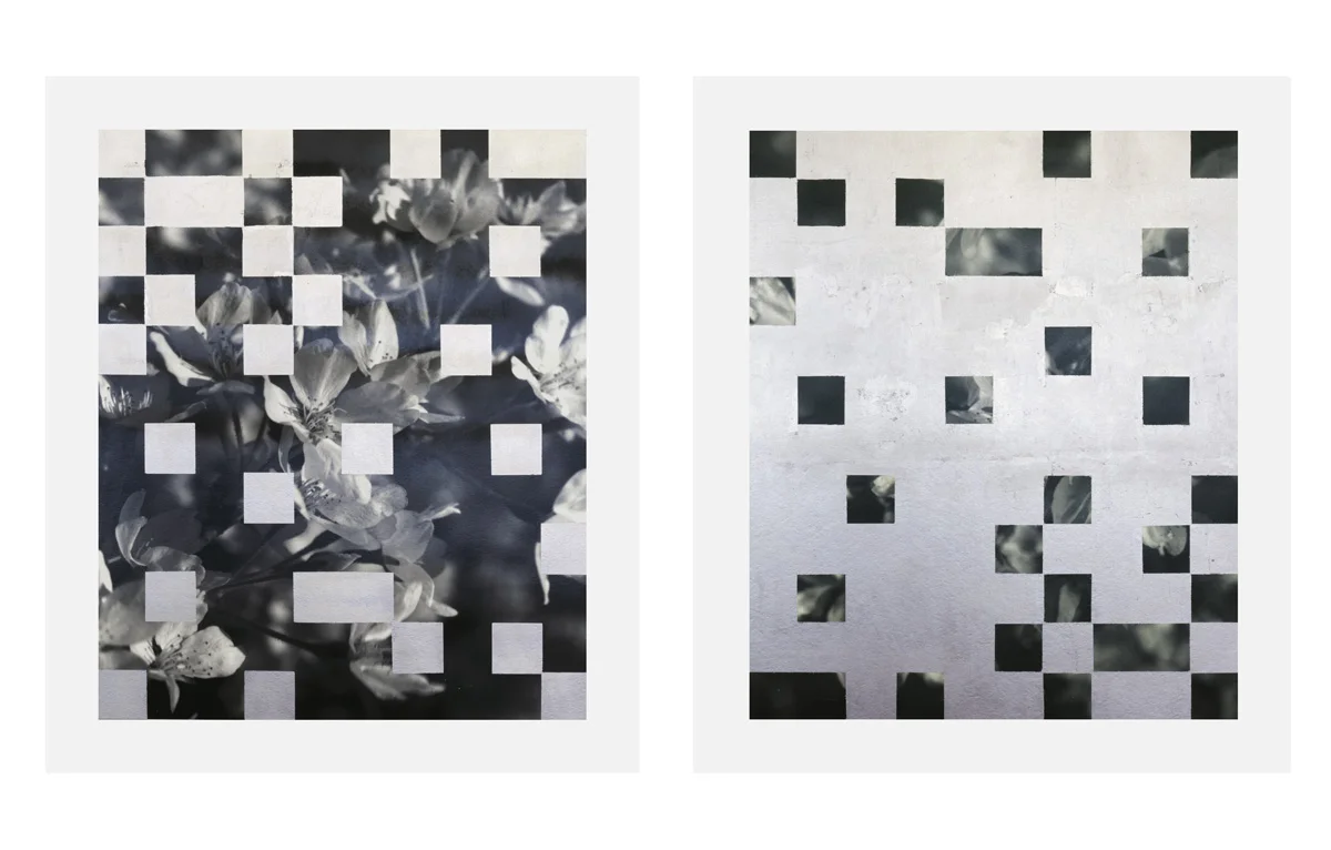 Cherry Tree Grid 010