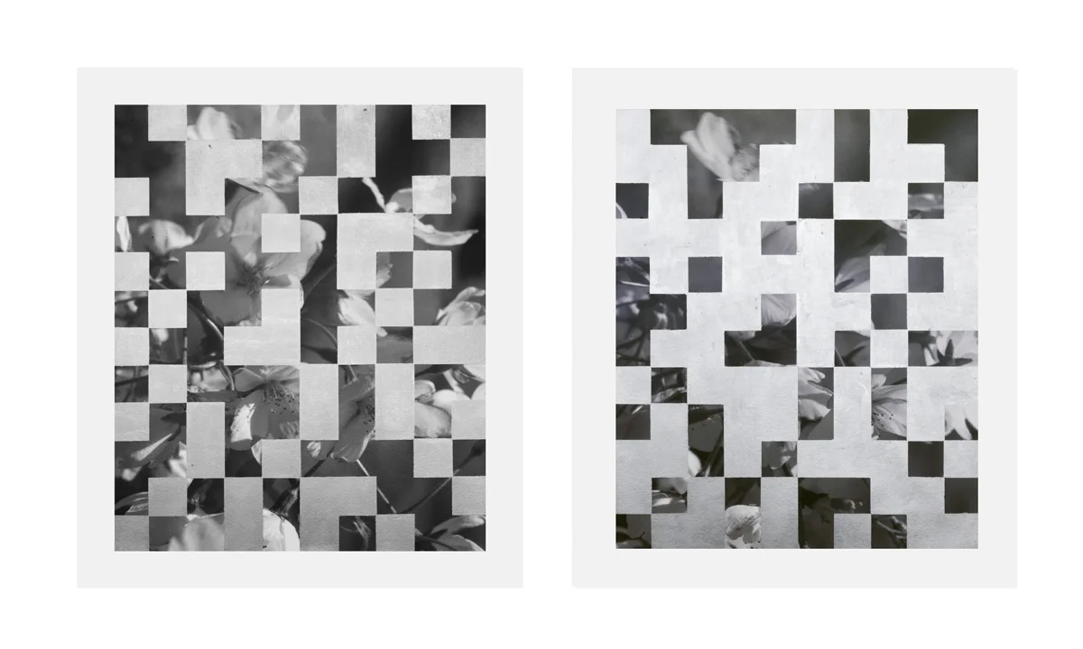 Cherry Tree Grid 011