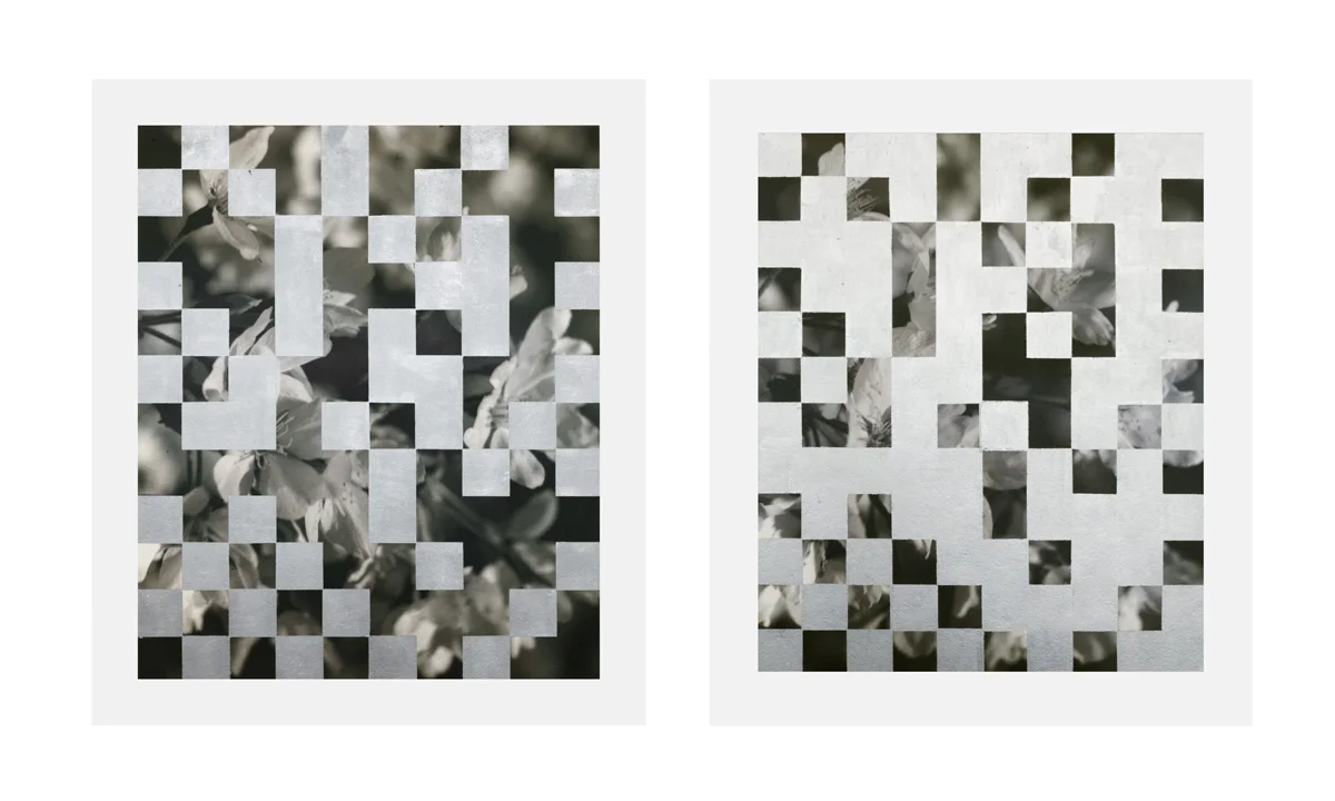 Cherry Tree Grid 012