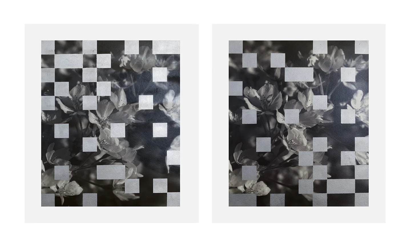 Cherry Tree Grid 014