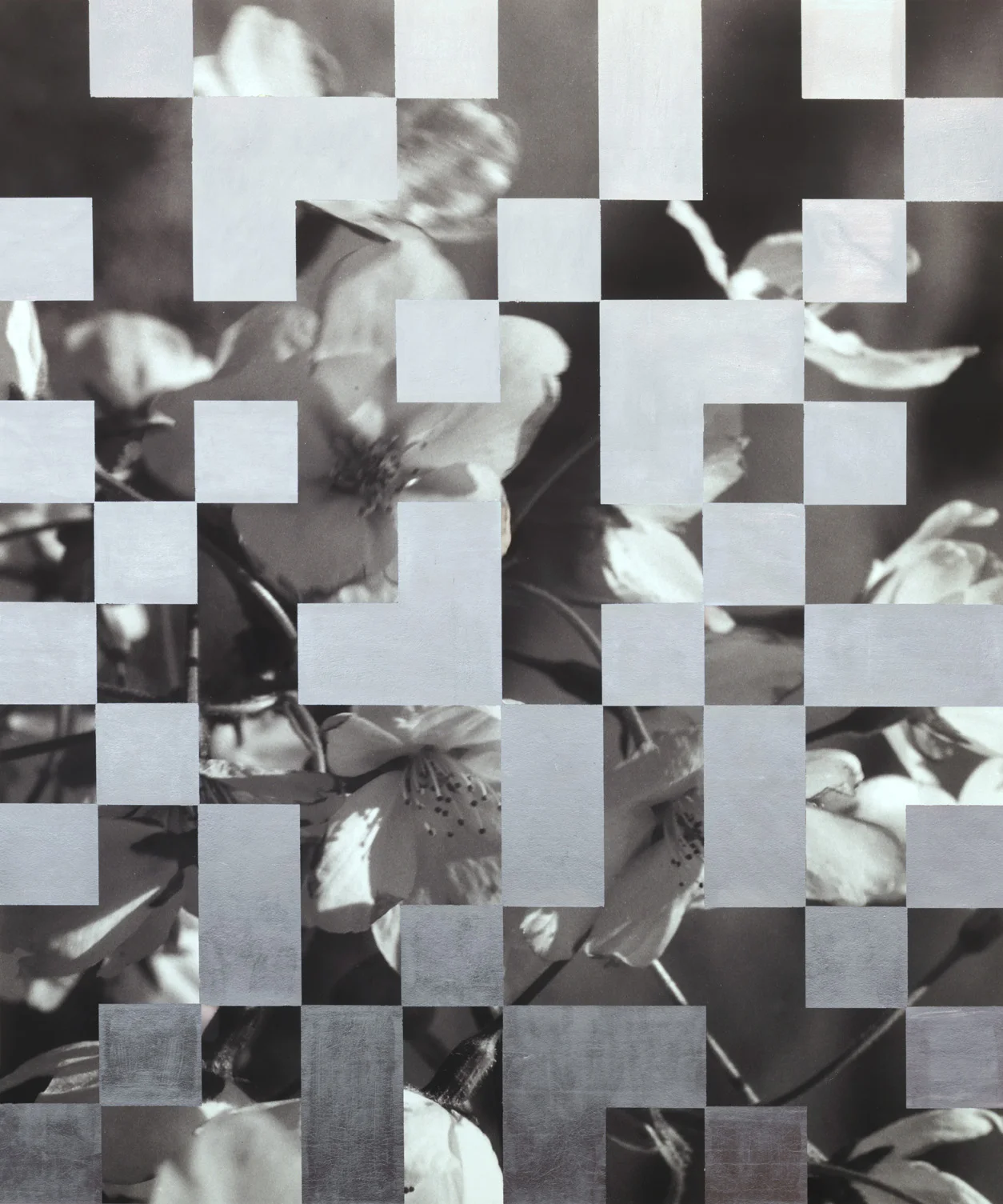 Large Cherry Tree Grid 001