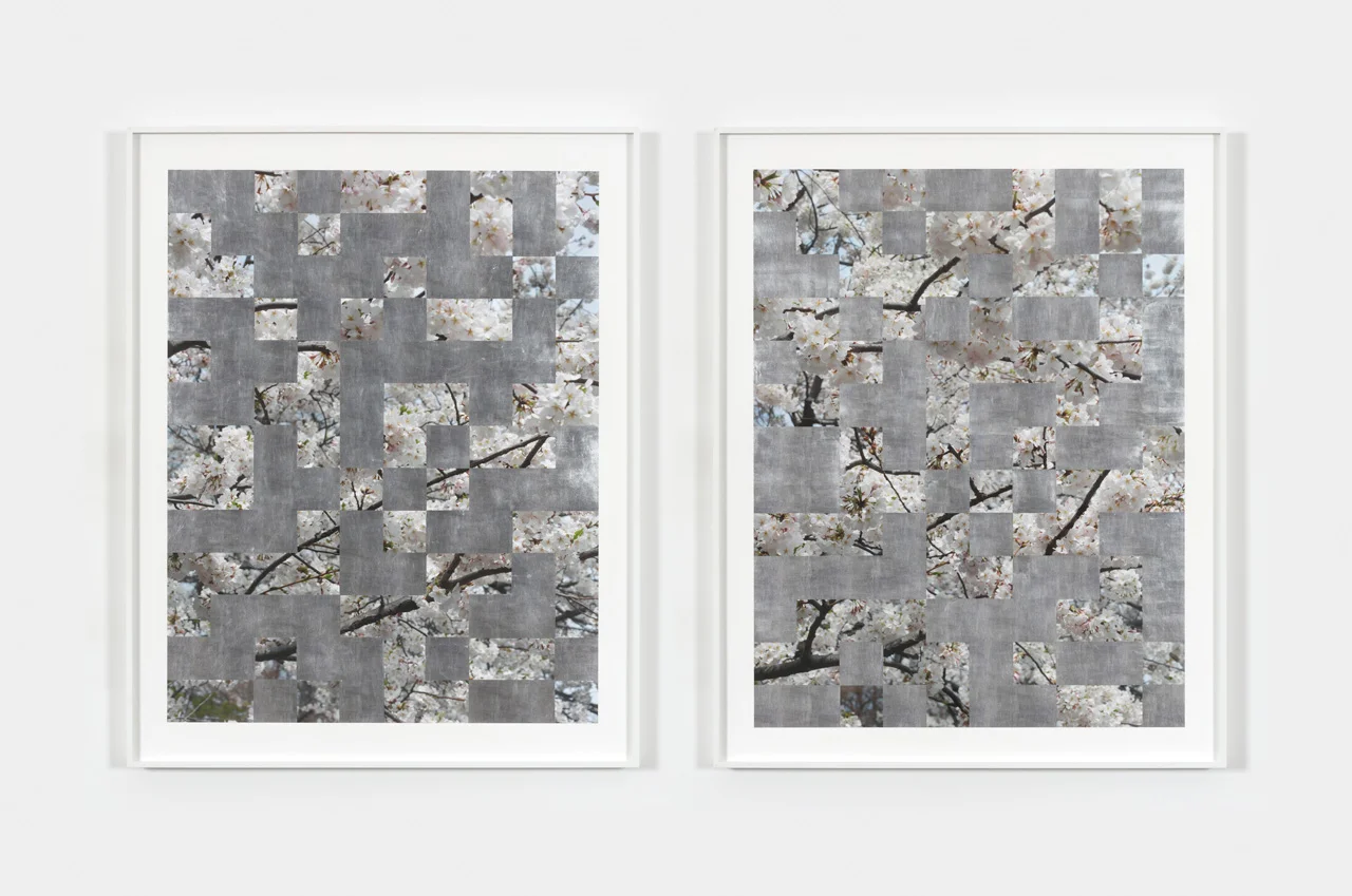 Large Cherry Tree Grid Color 002
