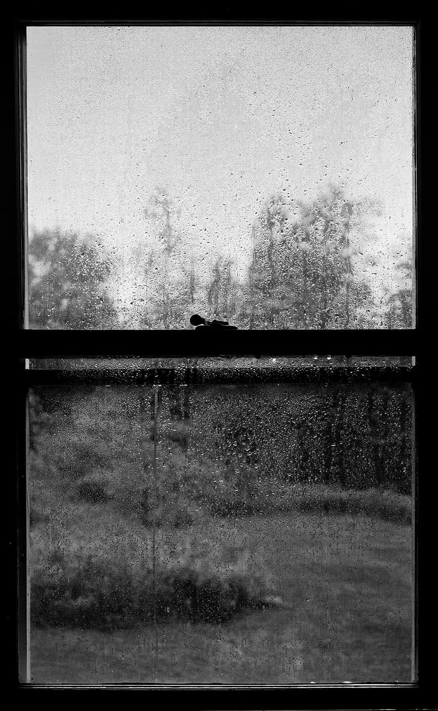 Wet Window II, 1989, Silver Print, 65 x 40 Inches