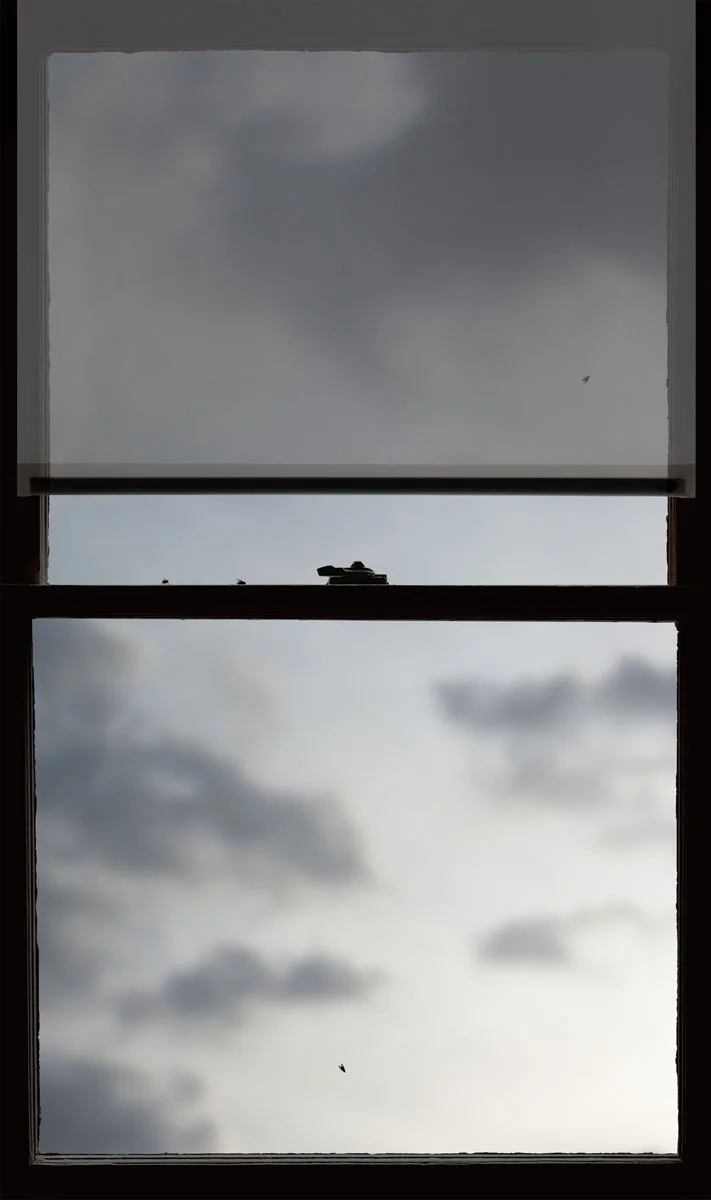 Evening Window