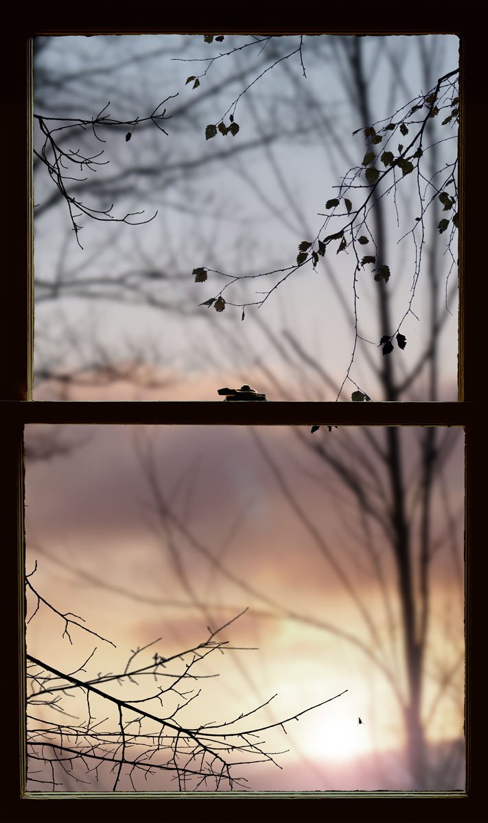 Autumnal Window (Morning) 