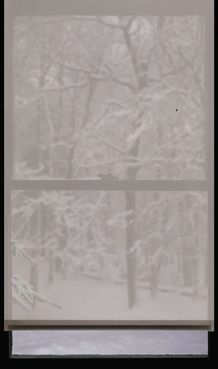 Winter Window (Woods) 