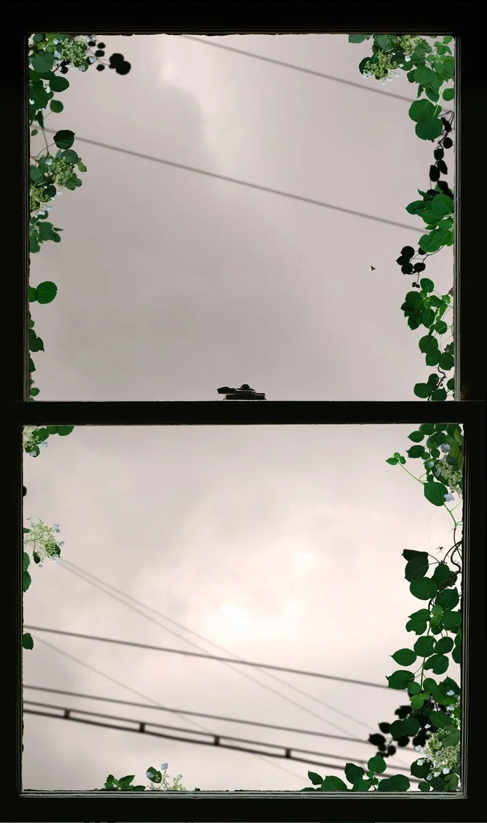 Urban Spring Window