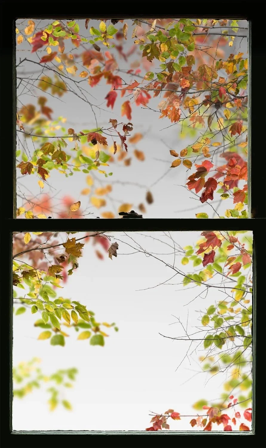 Autumn Window