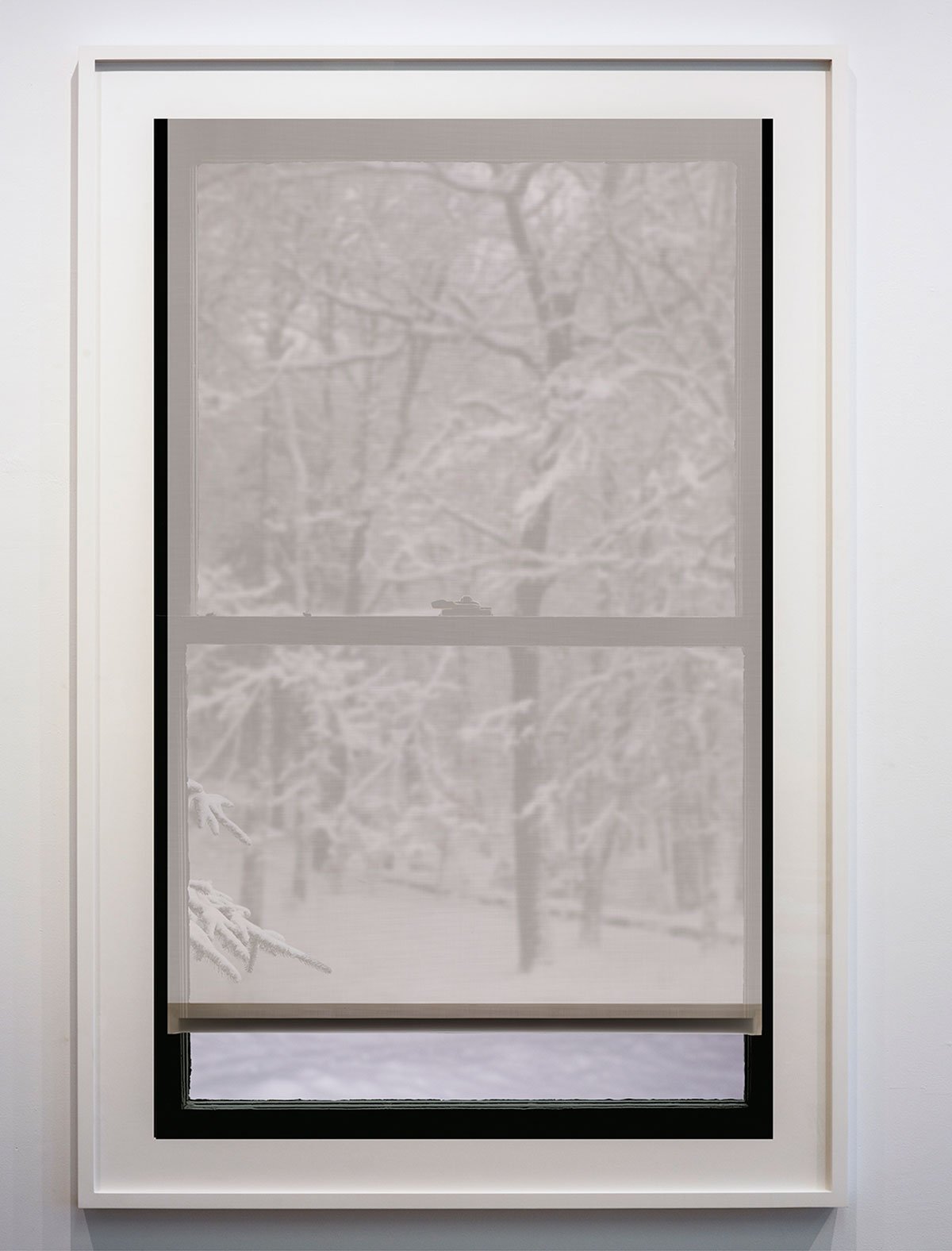 Winter Window (Woods) 