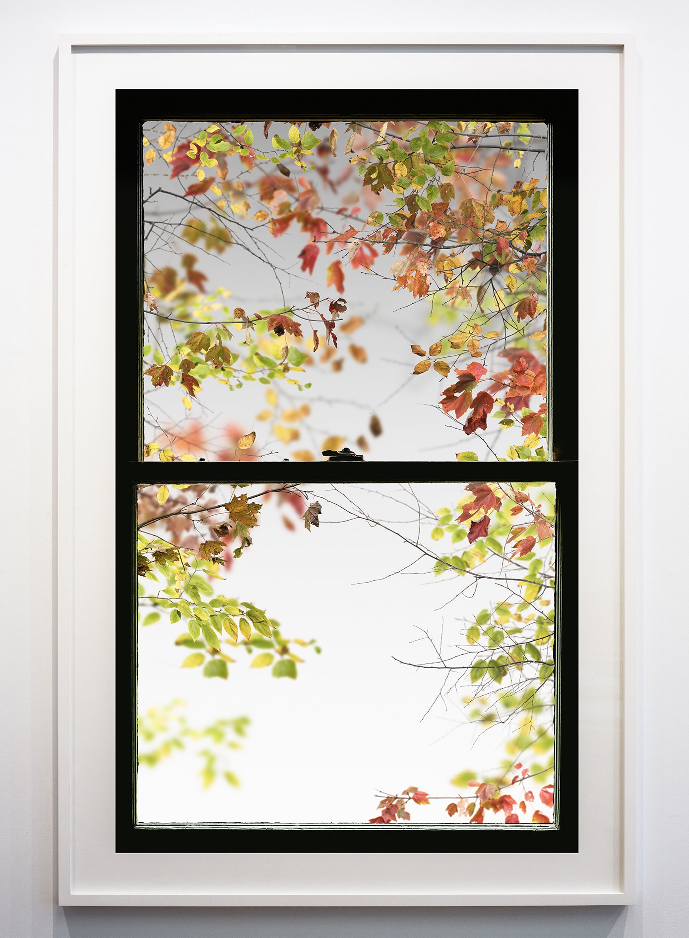 Autumn Window