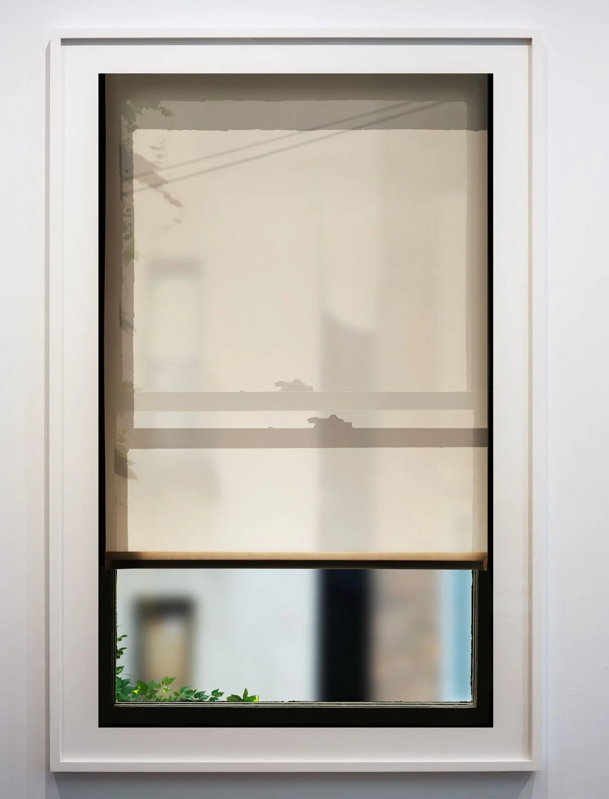 Urban Summer Window