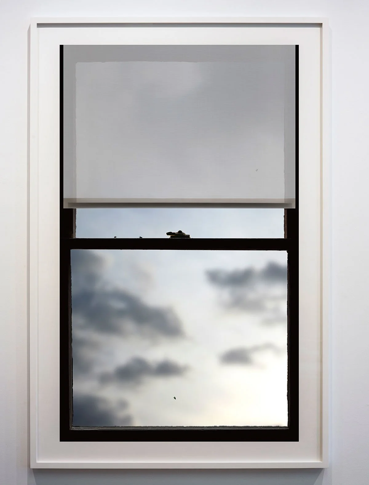 Evening Window