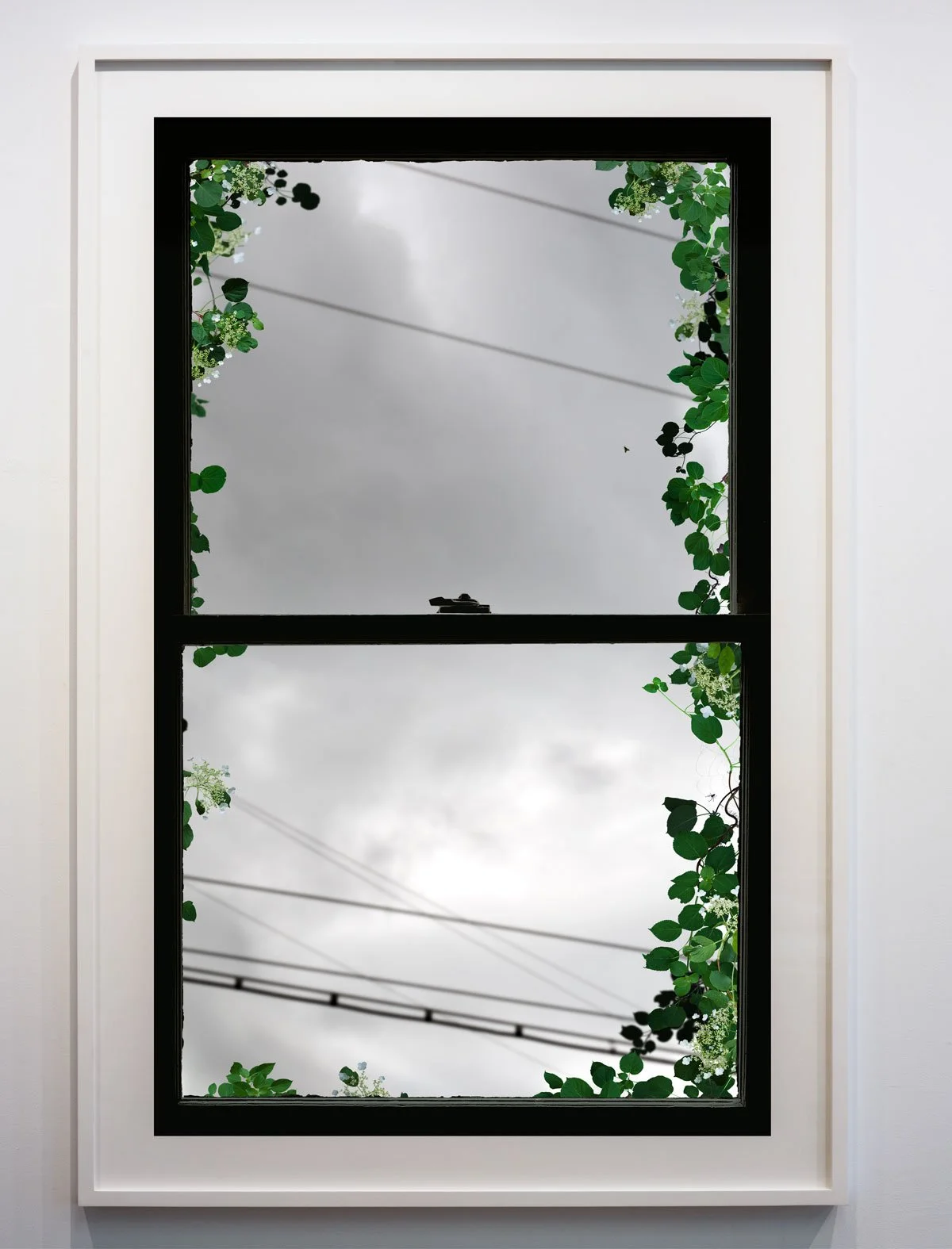 Urban Spring Window