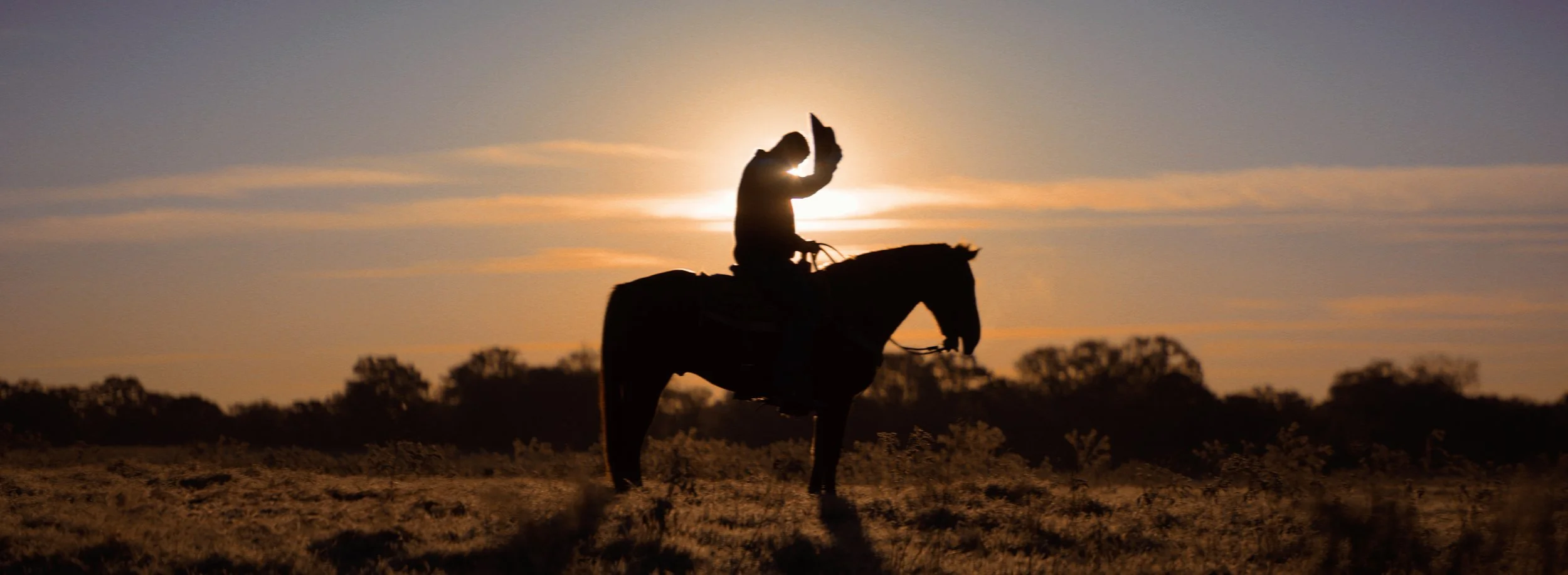 Screenshot 2024-06-20 at 12.47.46 PM copy.jpg