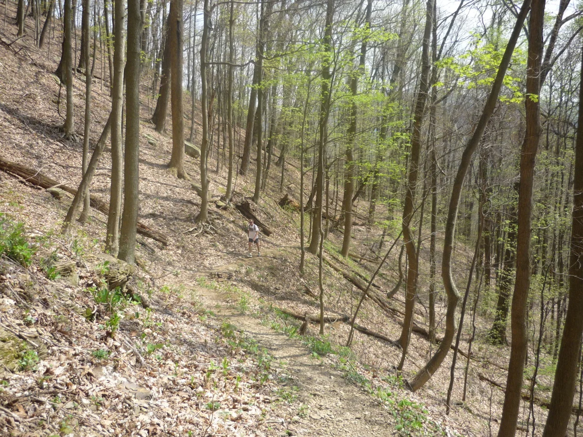 p1010160.jpg