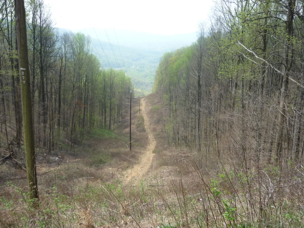 p1010141.jpg