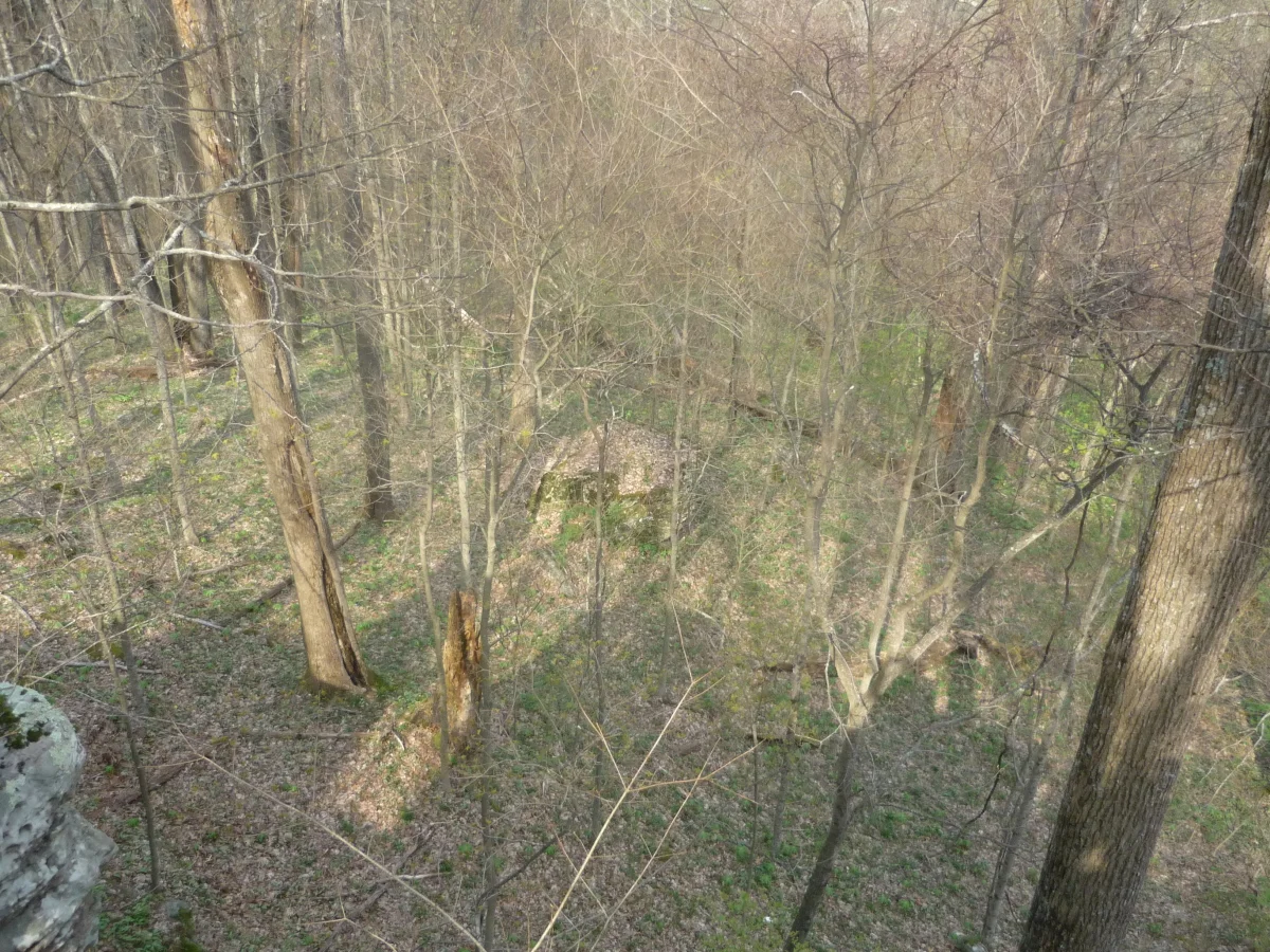 p1010165.jpg