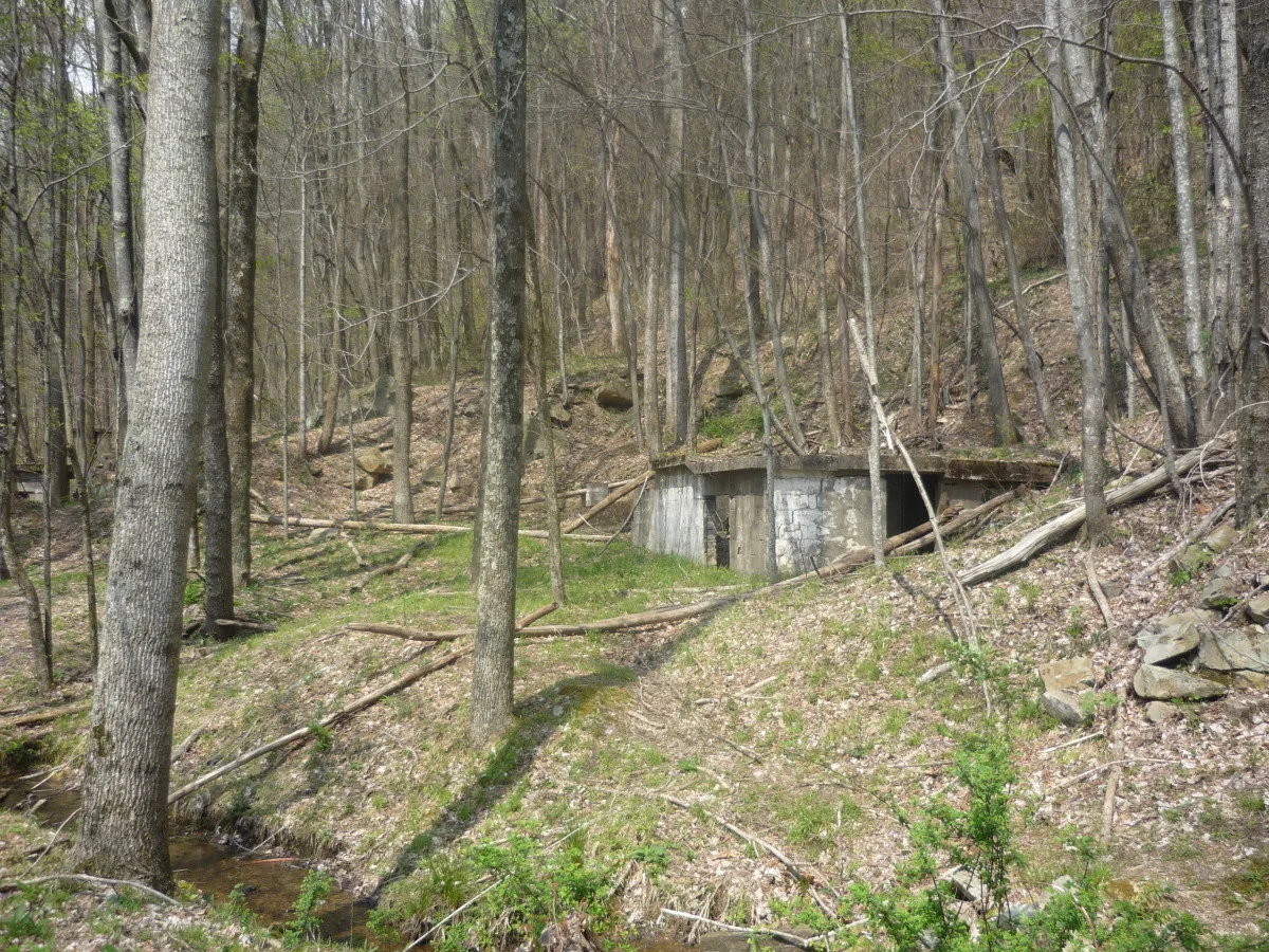 p1010151.jpg