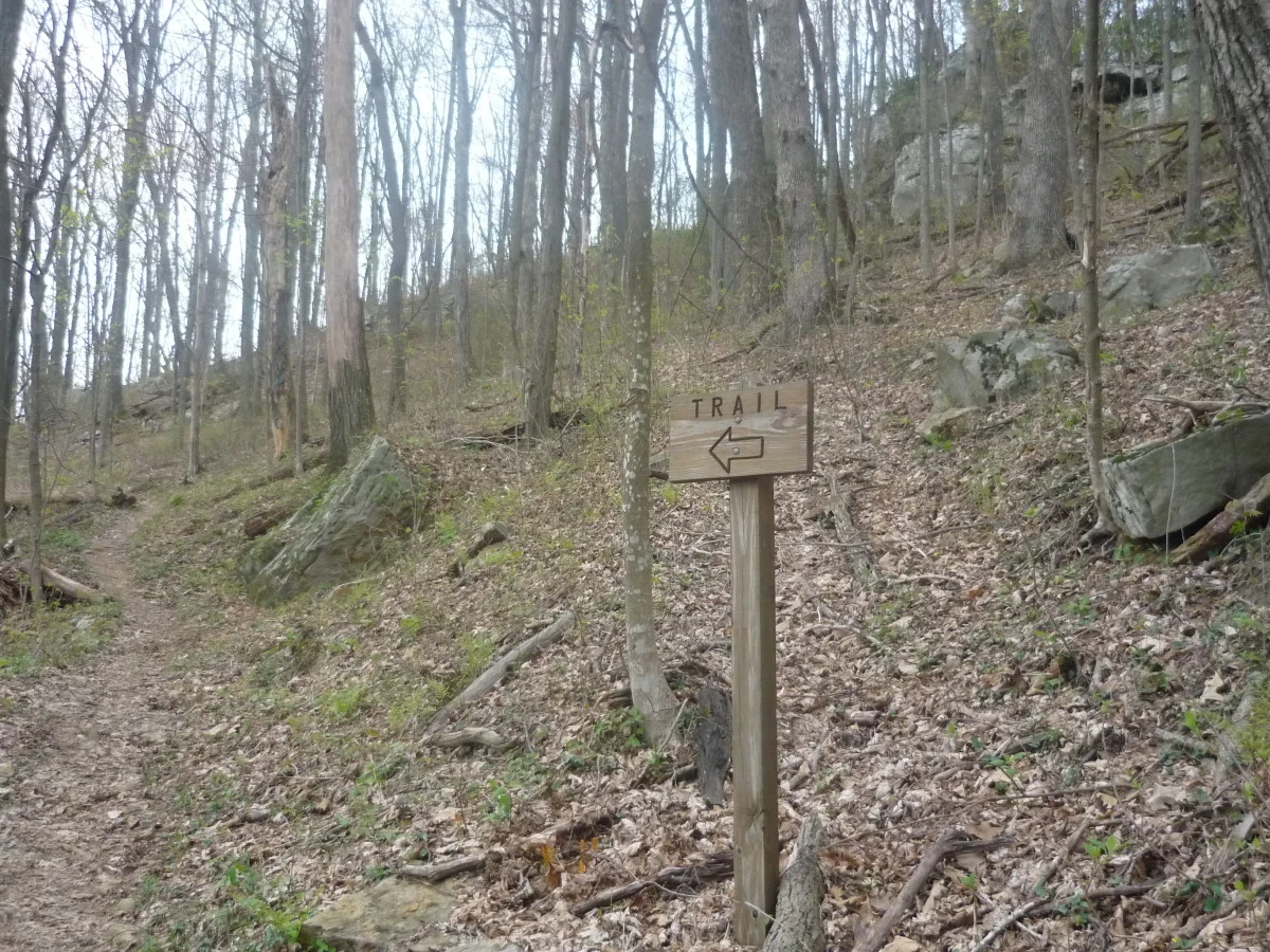 p1010161.jpg