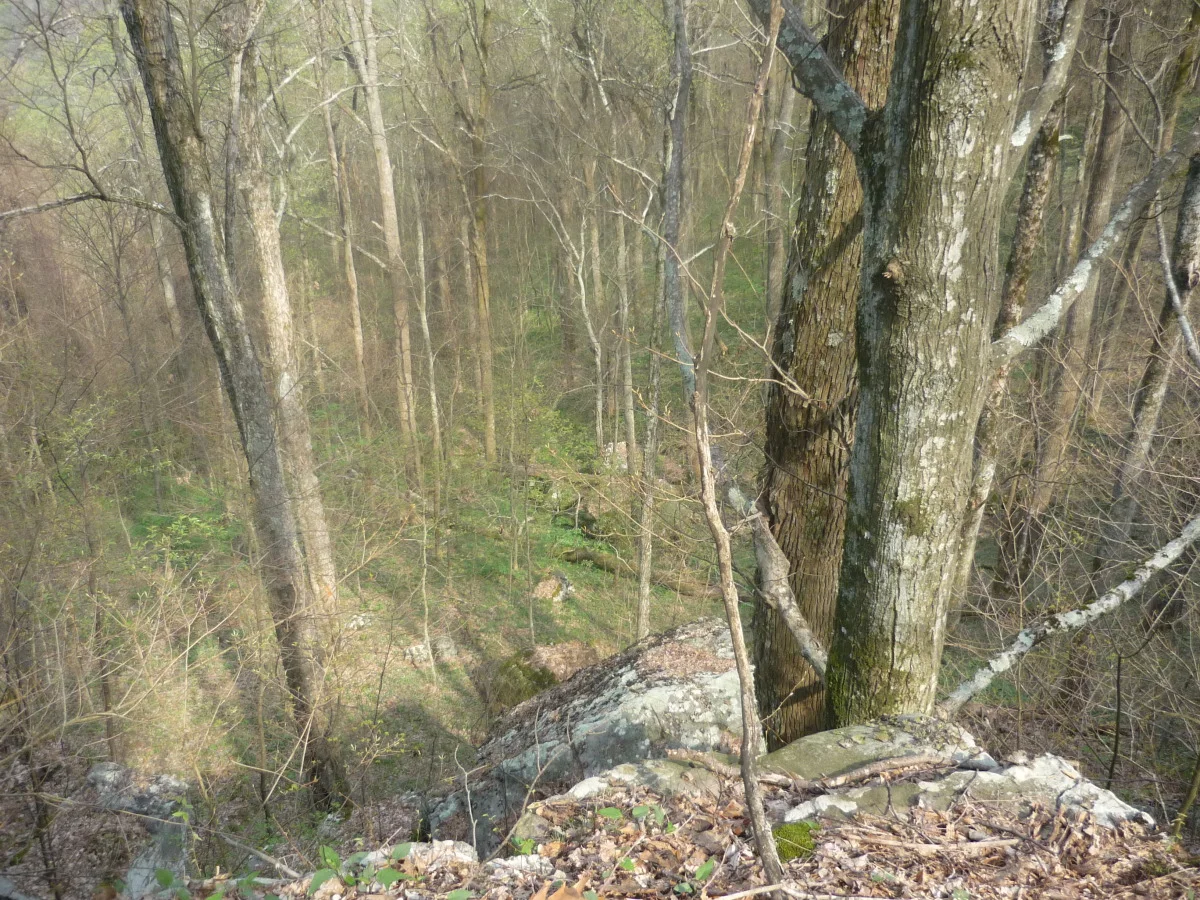 p1010163.jpg