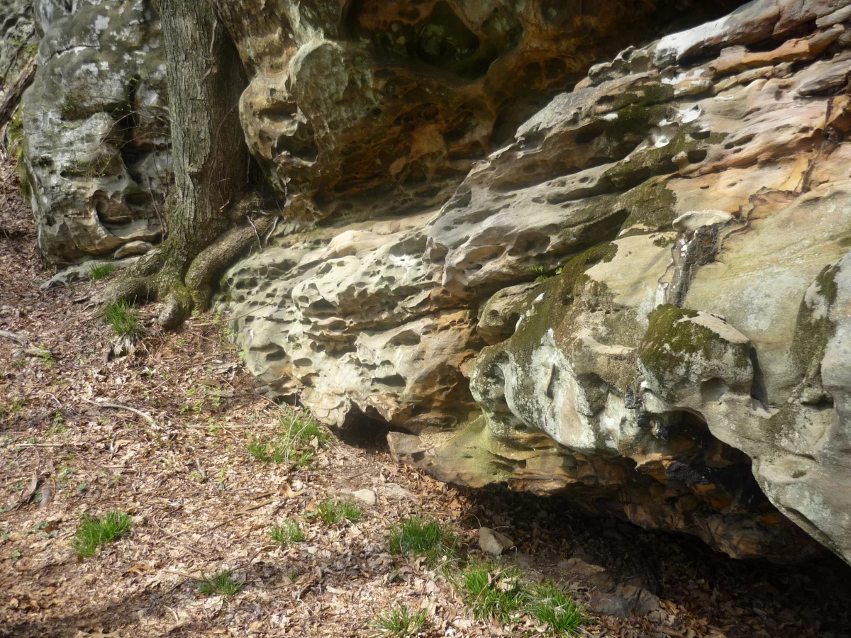 p1010162.jpg