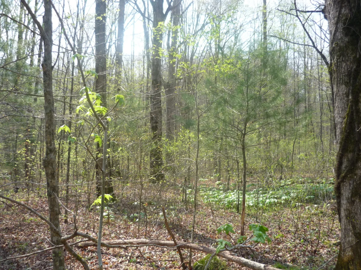 p1010133.jpg