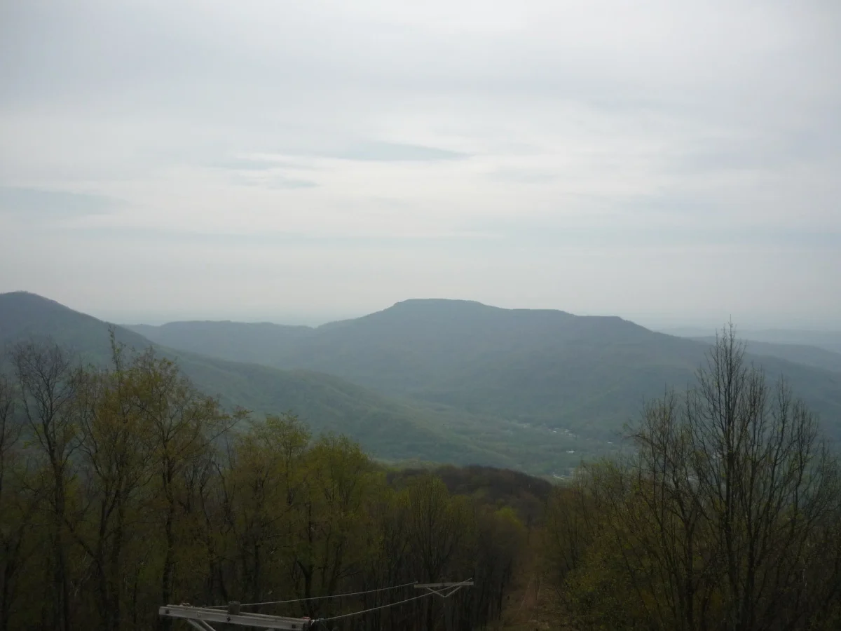 p1010192.jpg