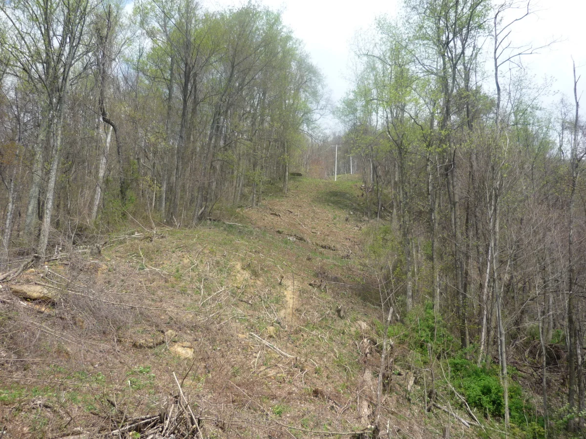 p1010145.jpg